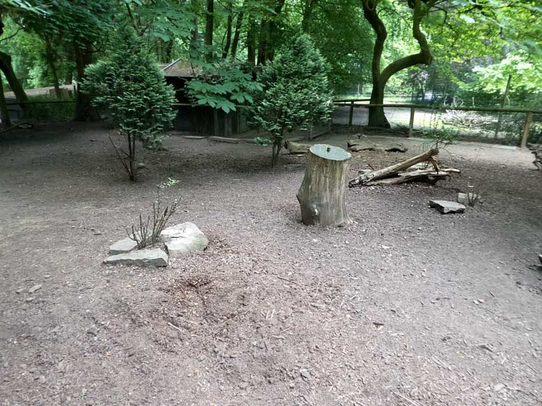 Leere Mini-Schwein-Anlage am 31. Mai 2019 im Grünen Zoo Wuppertal