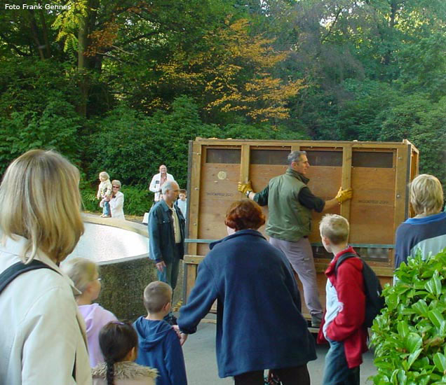 Okapi-Transport vom Zoo Wuppertal zum Zoo Leipzig am 13. Oktober 2005 (Foto Frank Gennes)