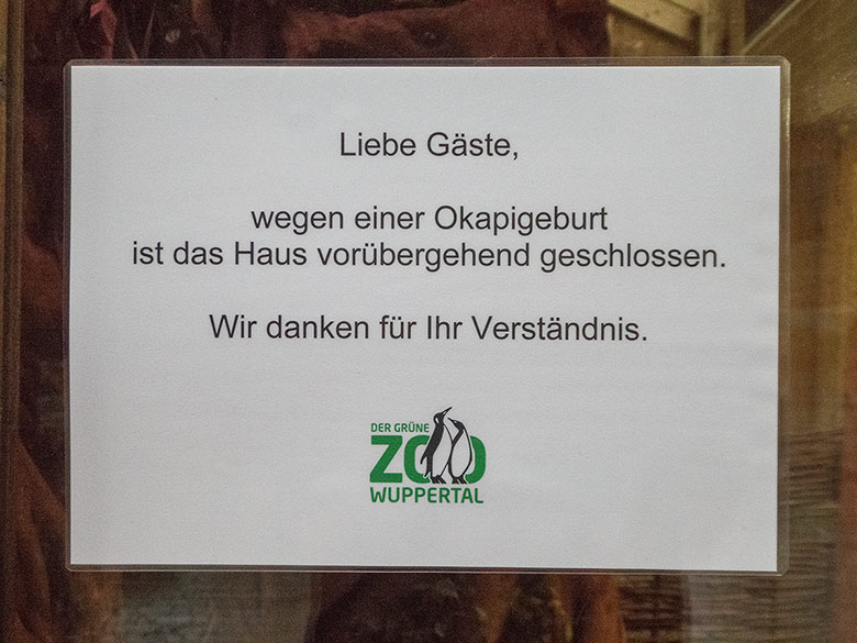 Schild "wegen einer Okapigeburt ist das Haus vorübergehend geschlossen" am 12. Januar 2019 an der Eingangstür zum Okapi-Haus im Grünen Zoo Wuppertal