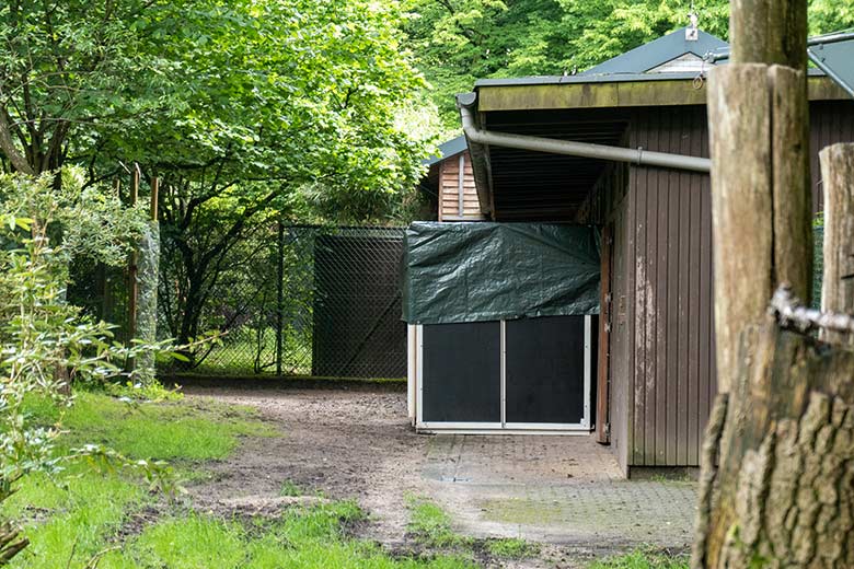 Transport-Kiste am Okapi-Haus für das weibliche Okapi-Jungtier NIARA am 25. Mai 2024 im Grünen Zoo Wuppertal