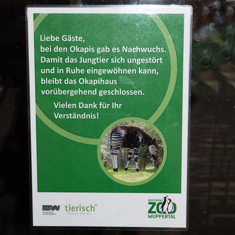 Aushang zum weiblichen Okapi-Jungtier ZURI am 12. Juni 2024 an der Außentür des Okapi-Hauses im Grünen Zoo Wuppertal