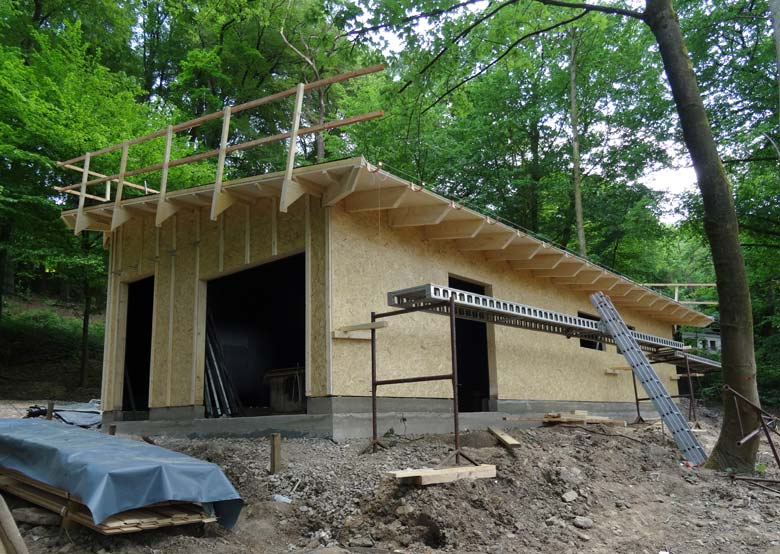 Holz-Rohbau für das Stallgebäude für die neue Milu-Anlage am 12. Mai 2016 im Zoologischen Garten der Stadt Wuppertal