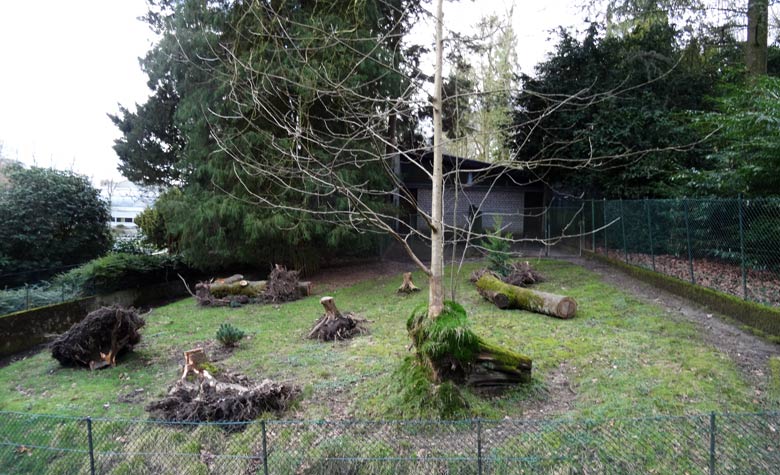 Bisherige Außenanlage für Südliche Pudus am 27. März 2016 im Zoologischen Garten Wuppertal