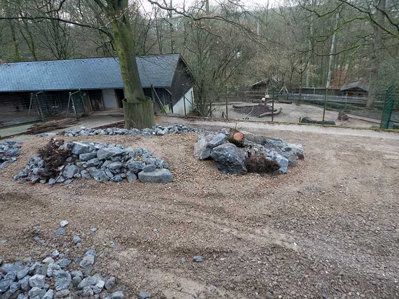 Bauarbeiten auf dem Gelände der ehemaligen Milu-Anlage am 18. Januar 2020 im Zoo Wuppertal. Hinter dem Zaun in der Bildmitte liegt die bisherige Takin-Anlage, die derzeit mit zwei Mishmi-Takinen besetzt ist