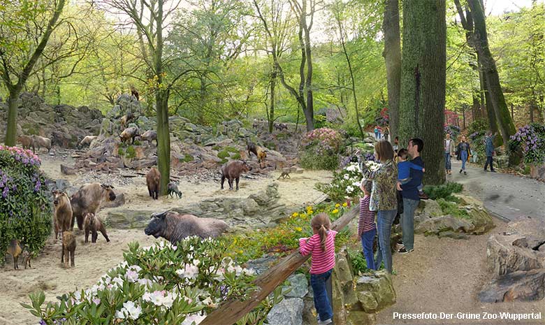 Mood-Bild der geplanten Erweiterung der Takin-Anlage mit der Ansicht einer Takin-Herde am Teich im Grünen Zoo Wuppertal (Pressefoto Der Grüne Zoo Wuppertal)