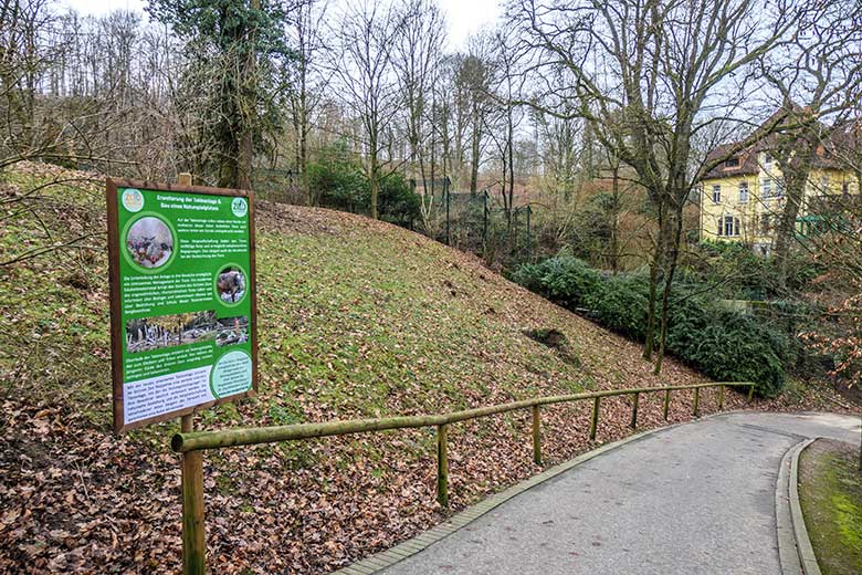 Ein Teil des Geländes für den Bau eines Naturspielplatzes am 10. Februar 2022 am Weg zwischen neuer Takinanlage und der Löwenanlage im Grünen Zoo Wuppertal