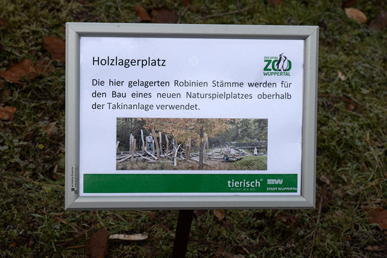 Information zum Holzlagerplatz am 12. Februar 2022 am Weg neben dem Löwen-Haus im Wuppertaler Zoo