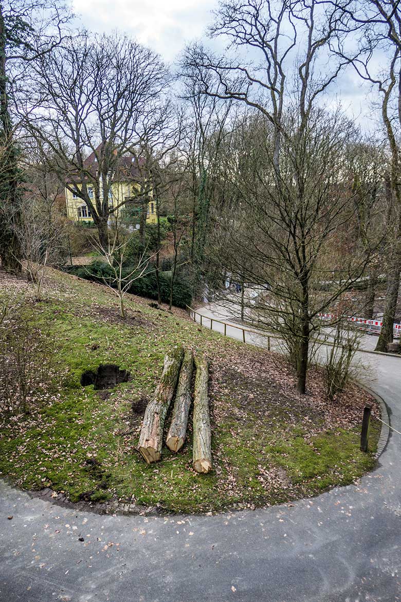 Ein Teil des Geländes für den Bau eines Naturspielplatzes am 14. Februar 2022 am Weg zwischen neuer Takinanlage und der Löwenanlage im Zoologischen Garten Wuppertal