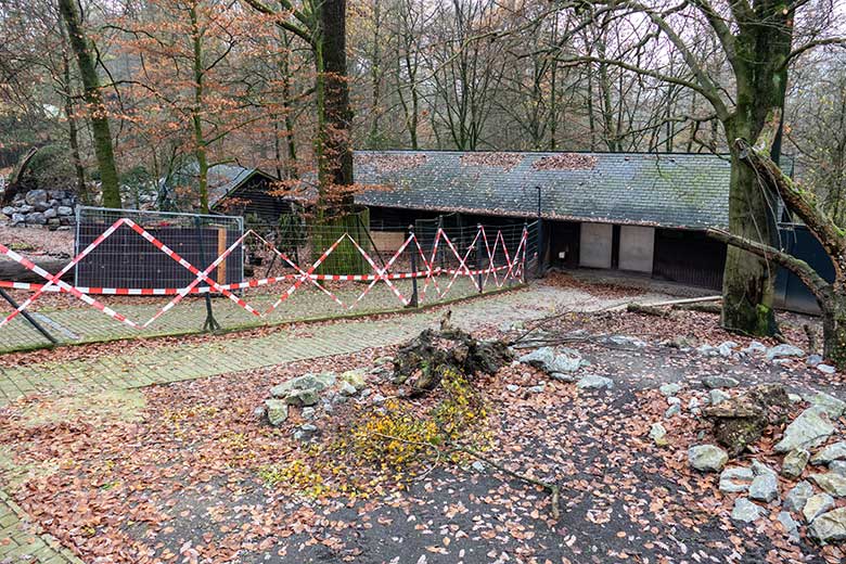 Obere Mishmi-Takin-Anlage mit Absperrband am Zaun am 10. Dezember 2022 im Grünen Zoo Wuppertal