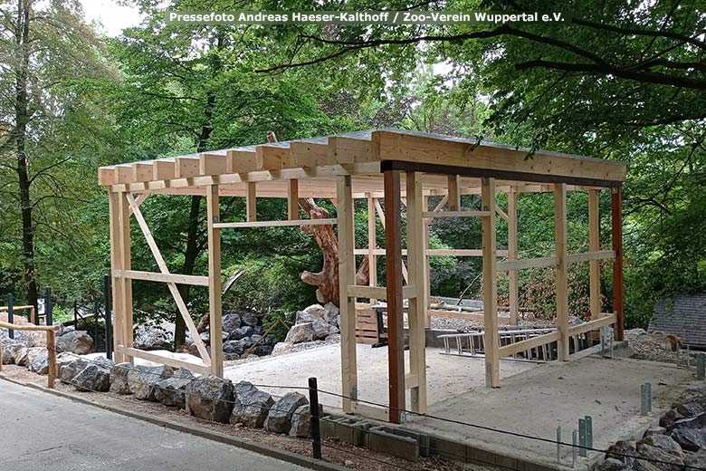 Unterstand im Bau an der neuen Takinanlage am 29. Juni 2023 im Grünen Zoo Wuppertal (Pressefoto Andreas Haeser-Kalthoff - Zoo-Verein Wuppertal e.V.)