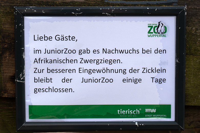 Aushang zum Nachwuchs bei den Afrikanischen Zwergziegen am 15. März 2023 am JuniorZoo im Grünen Zoo Wuppertal