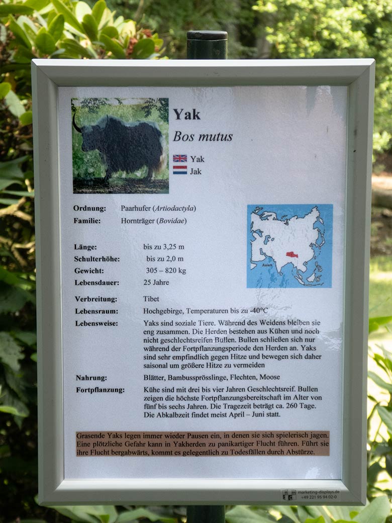 Ausschilderung Yak am 3. Juli 2019 an der Außenanlage im Zoologischen Garten Wuppertal