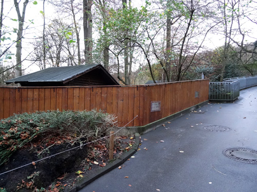 Neuer Holzzaun an der bisherigen Anlage für die Hängebauchschweine am 13. November 2015 im Zoologischen Garten der Stadt Wuppertal