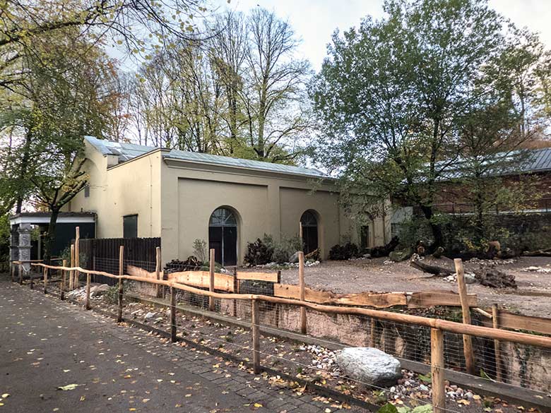 Neue Außenanlage für die Halsbandpekaris am 7. November 2019 am Südamerika-Haus im Grünen Zoo Wuppertal