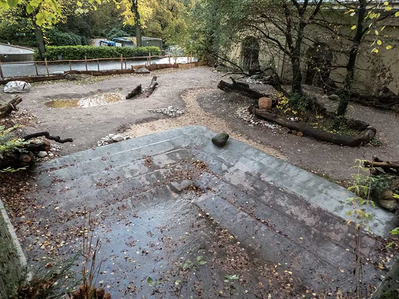 Neue Außenanlage mit Amazonas-Becken für die Halsbandpekaris am 7. November 2019 am Südamerika-Haus im Zoologischen Garten der Stadt Wuppertal
