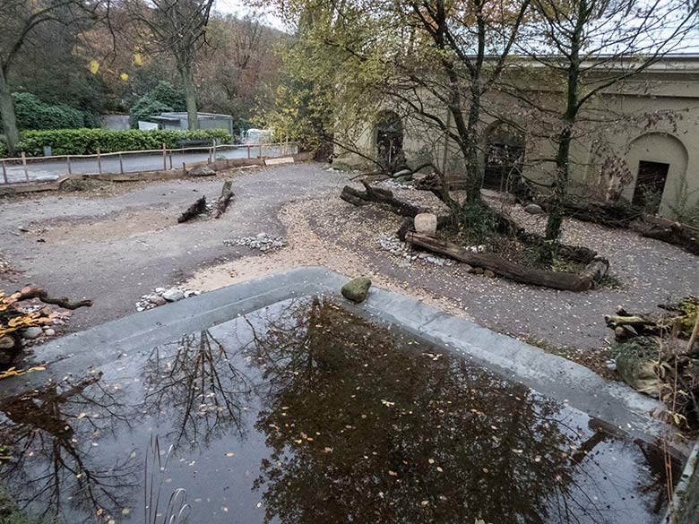 Neue Außenanlage für Halsbandpekaris am 25. November 2019 am Südamerika-Haus im Zoologischen Garten Wuppertal