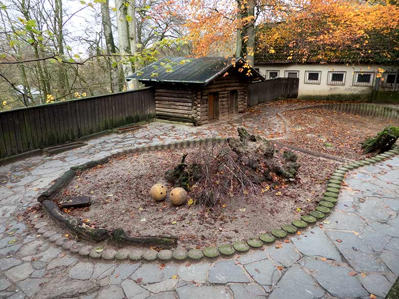 Leerer bisheriger oberer Teil der Außenanlage für die Halsbandpekaris am 29. November 2019 im Grünen Zoo Wuppertal