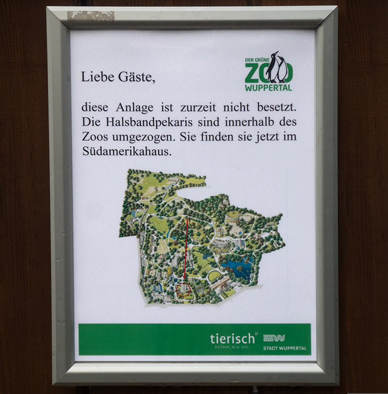 Information zum Umzug der Halsbandpekaris an der bisherigen Außenanlage für die Halsbandpekaris am 29. November 2019 im Zoo Wuppertal