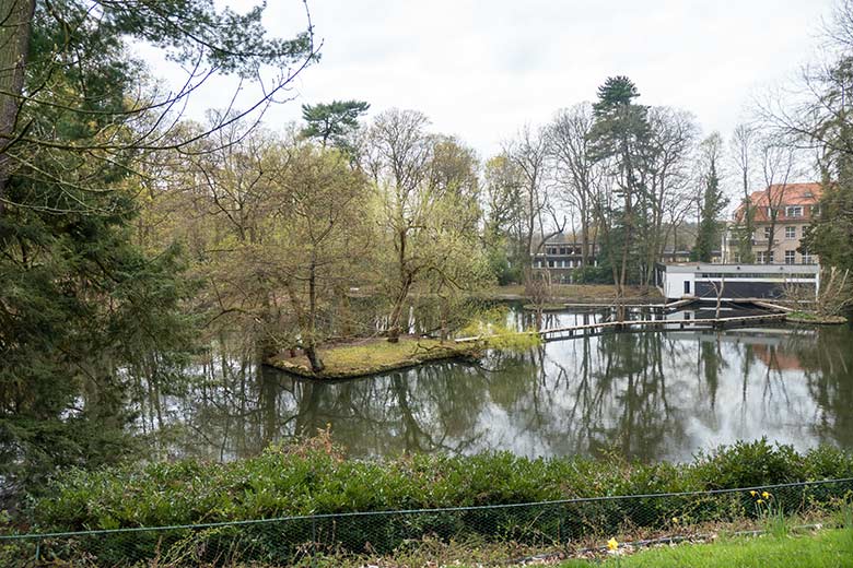 Der Große Teich mit Insel, Holzstegen und Gibbon-Haus am 18. April 2021 im Grünen Zoo Wuppertal