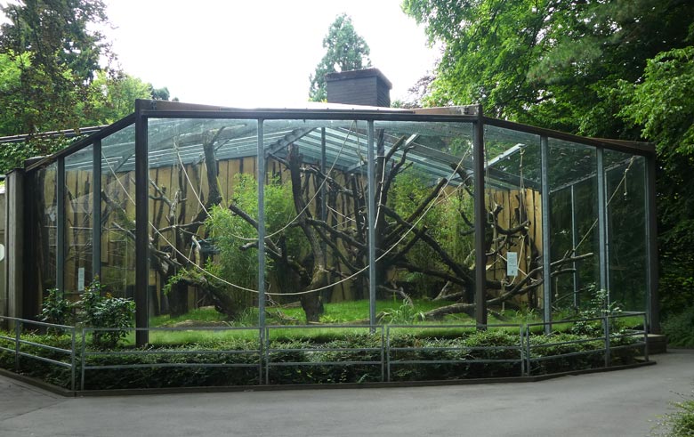 Neu gestaltete Außenanlage  für Klammeraffen  am 30. Juni 2017 im Zoo Wuppertal