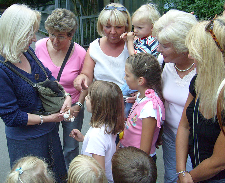 Junger Schwarzer Klammeraffe im Zoo Wuppertal im August 2008