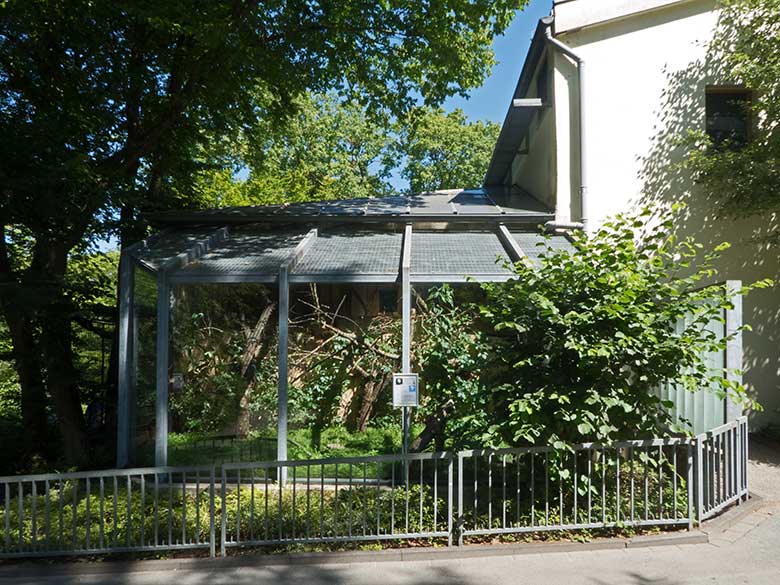 Außengehege für die Goldkopf-Löwenäffchen am 26. Juni 2020 am Affen-Haus im Wuppertaler Zoo
