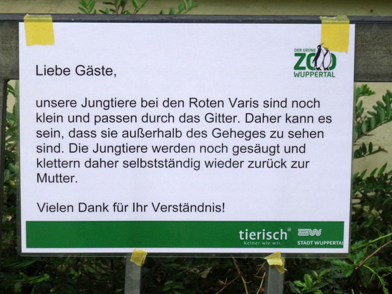 Aushang am 14. Mai 2017 zu den Jungtieren bei den Roten Varis im Affenhaus im Grünen Zoo Wuppertal