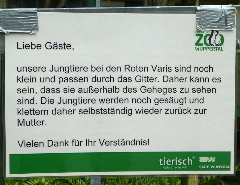Information zu den Roter Vari-Jungtieren am 25. Juni 2017 an der Außenanlage im Zoo Wuppertal