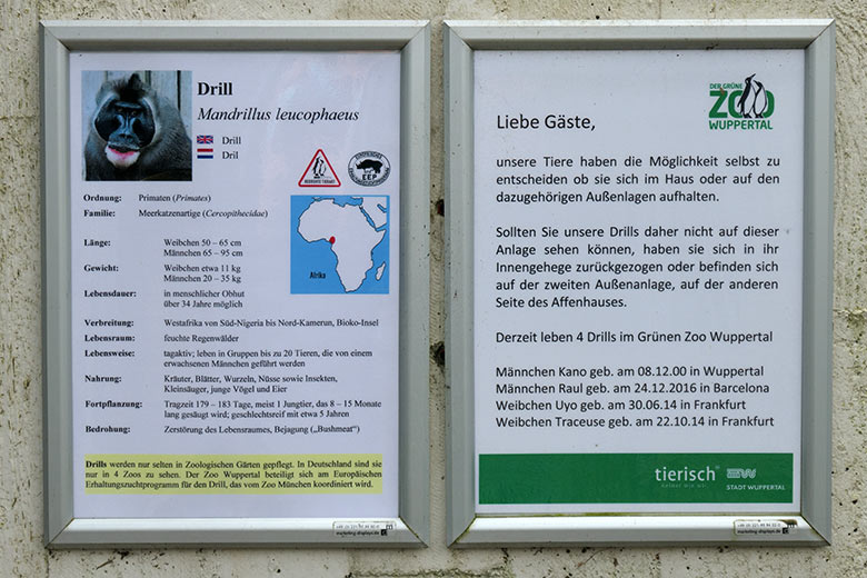 Drill-Ausschilderung am 3. April 2021 auf der Außenanlage am Affen-Haus im Wuppertaler Zoo