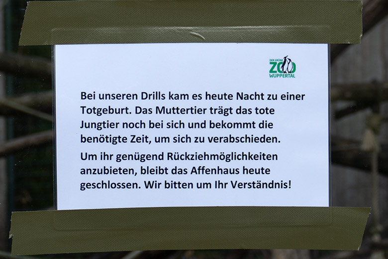 Aushang an der Außenanlage der Drills am Affen-Haus am 6. November 2022 zur Totgeburt bei den Drills im Grünen Zoo Wuppertal