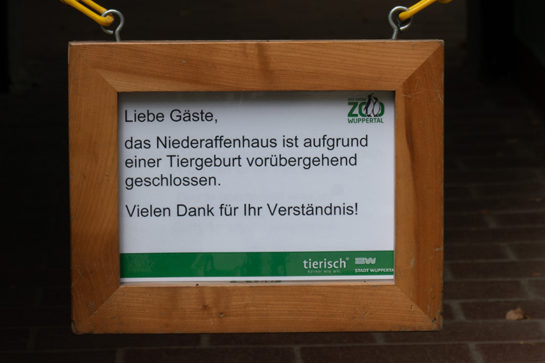 Aushang zur Tiergeburt am 16. August 2024 am Zugang zum Affen-Haus im Grünen Zoo Wuppertal