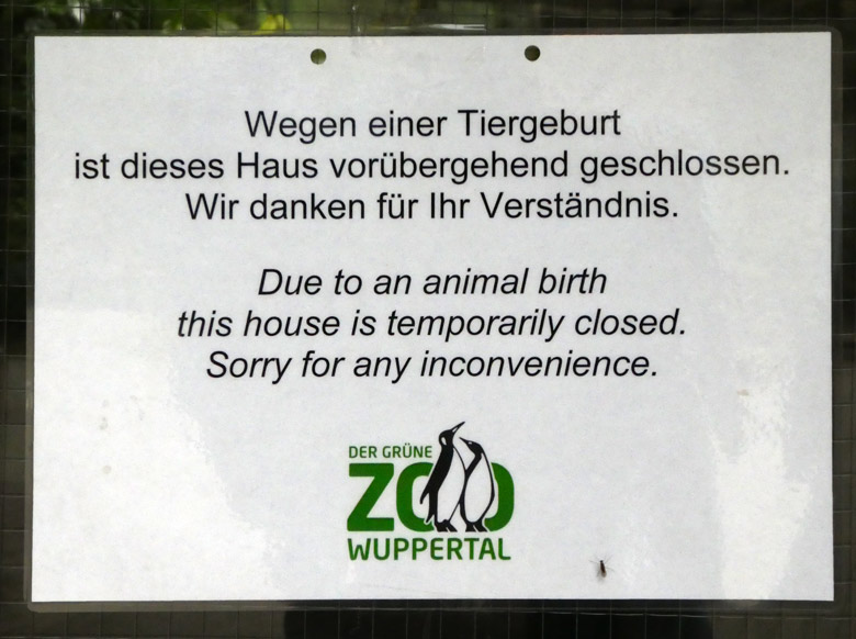 Aushang am 6. Juli 2017 am Zugang zum Menschenaffenhaus im Grünen Zoo Wuppertal