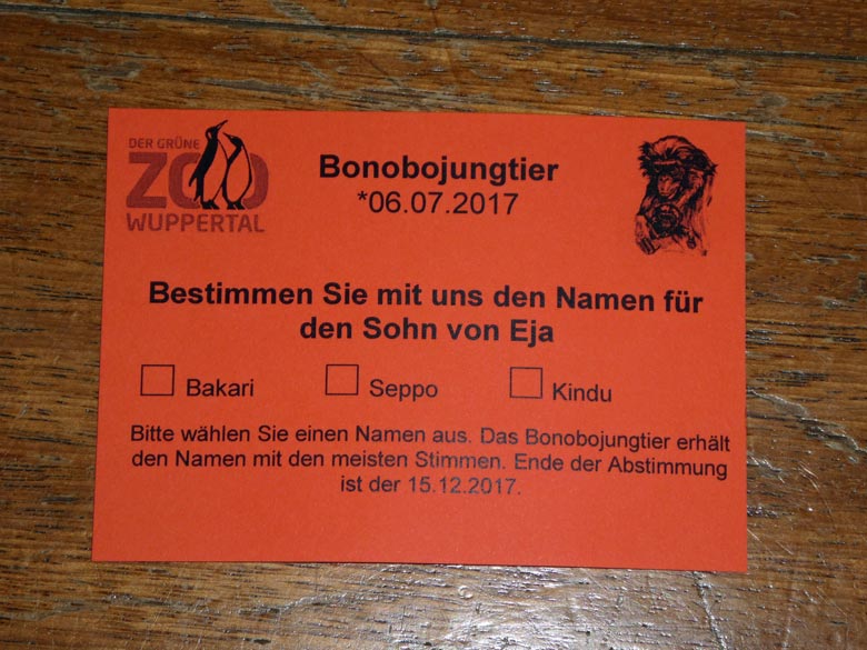 Karte zur Abstimmung über den Namen für das am 6. Juli 2017 geborene Bononbojungtier im Menschenaffenhaus im Grünen Zoo Wuppertal