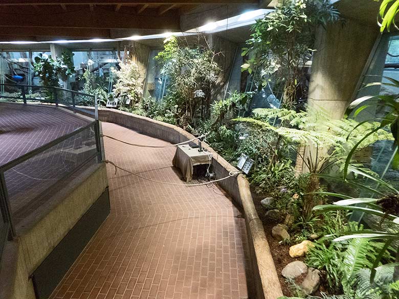 Abgesperrter Bereich für die Beobachtungskameras am 29. Januar 2019 vor dem Innengehege der Bonobos im Menschenaffen-Haus im Grünen Zoo Wuppertal
