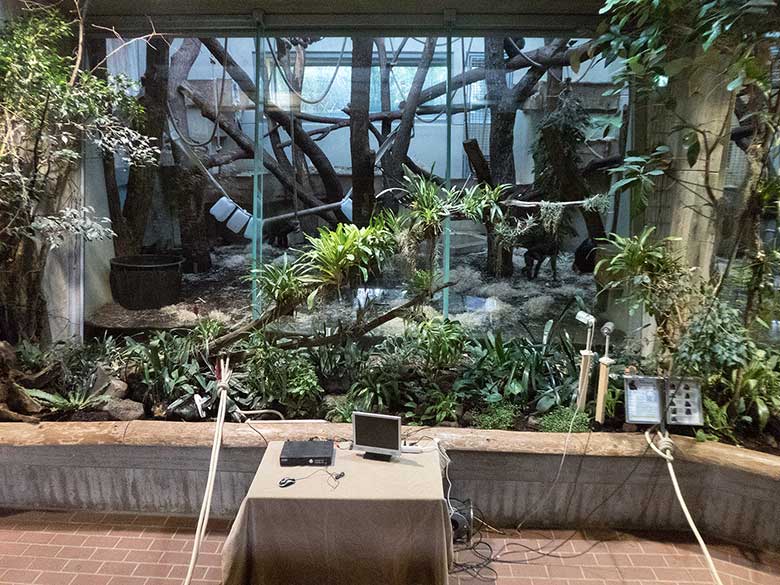 Zwei Beobachtungskameras am 29. Januar 2019 vor dem Innengehege der Bonobos im Menschenaffen-Haus im Zoologischen Garten der Stadt Wuppertal