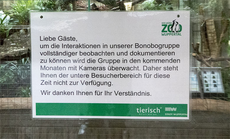 Aushang zu den Beobachtungskameras am 2. Februar 2019 vor dem Innengehege der Bonobos im Menschenaffen-Haus im Grünen Zoo Wuppertal