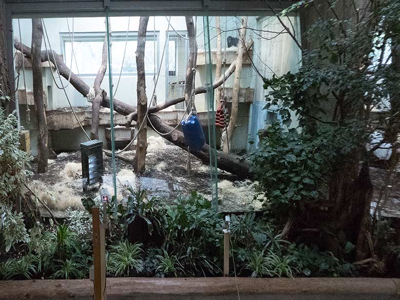 Abgesperrter Bereich für die Beobachtungskameras am 29. Januar 2019 vor dem Innengehege der Bonobos im Menschenaffen-Haus im Grünen Zoo Wuppertal