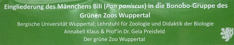 Information zur Eingliederung des Männchens Bili in die Bonobo-Gruppe am 9. März 2019 im Menschenaffen-Haus im Grünen Zoo Wuppertal