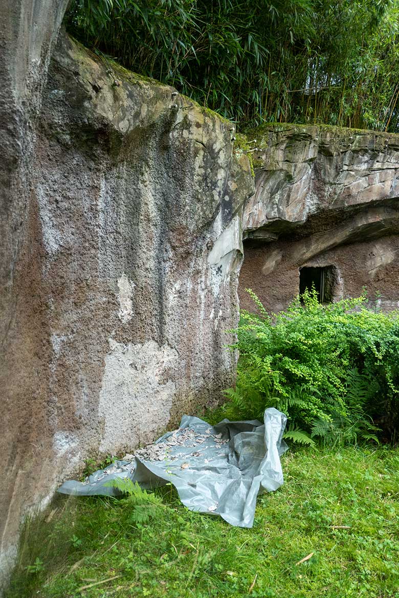 Ausbesserungsarbeiten auf der Außenanlage der Orang-Utans am 19. Juli 2021 im Grünen Zoo Wuppertal