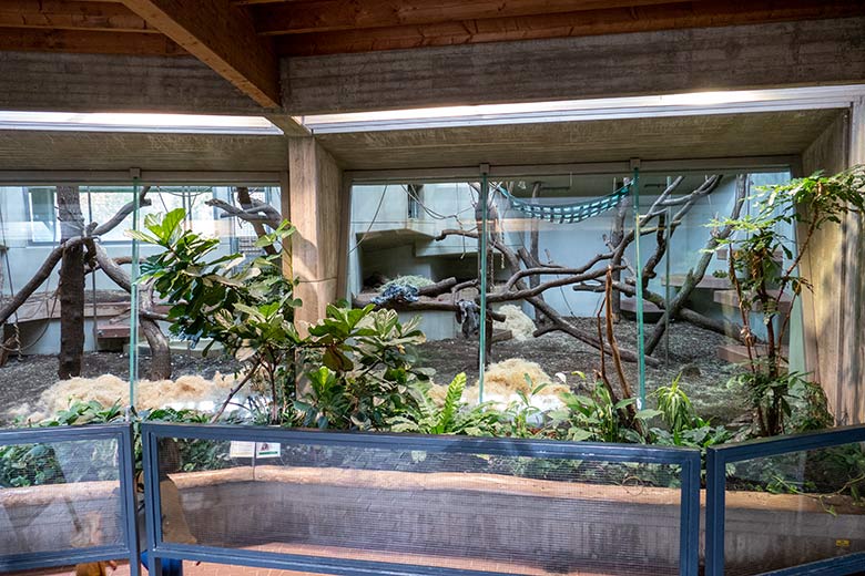 Leeres eigentliches Innengehege der Orang-Utans am 30. Oktober 2022 im Menschenaffen-Haus im Zoologischen Garten Wuppertal