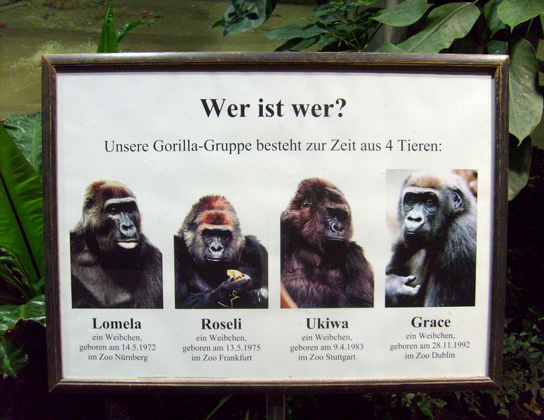 Schild mit den vier Damen der Westlichen Flachlandgorillas im Wuppertaler Zoo am 28. November 2009