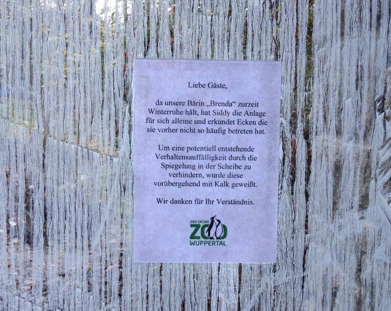 Besucher-Information an der gekalkten Scheibe am 18. November 2016 an der Braunbären-Anlage im Grünen Zoo Wuppertal