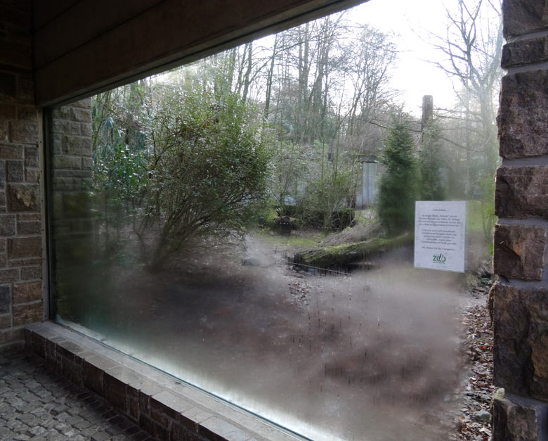 Panoramascheibe am Besucherunterstand ohne Kreide-Bemalung am 2. Februar 2017 an der Braunbärenanlage im Zoo Wuppertal