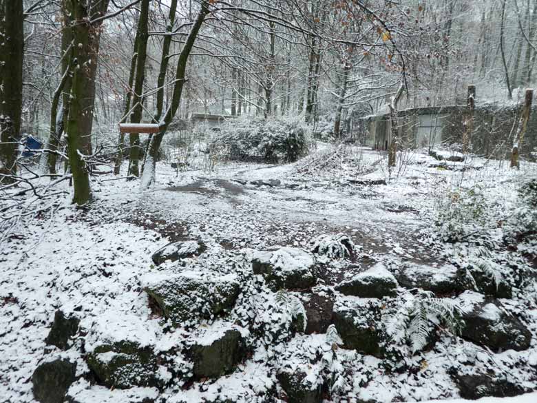 Dünne Schneedecke am 3. Dezember 2017 auf der Braunbärenanlage im Zoologischen Garten der Stadt Wuppertal
