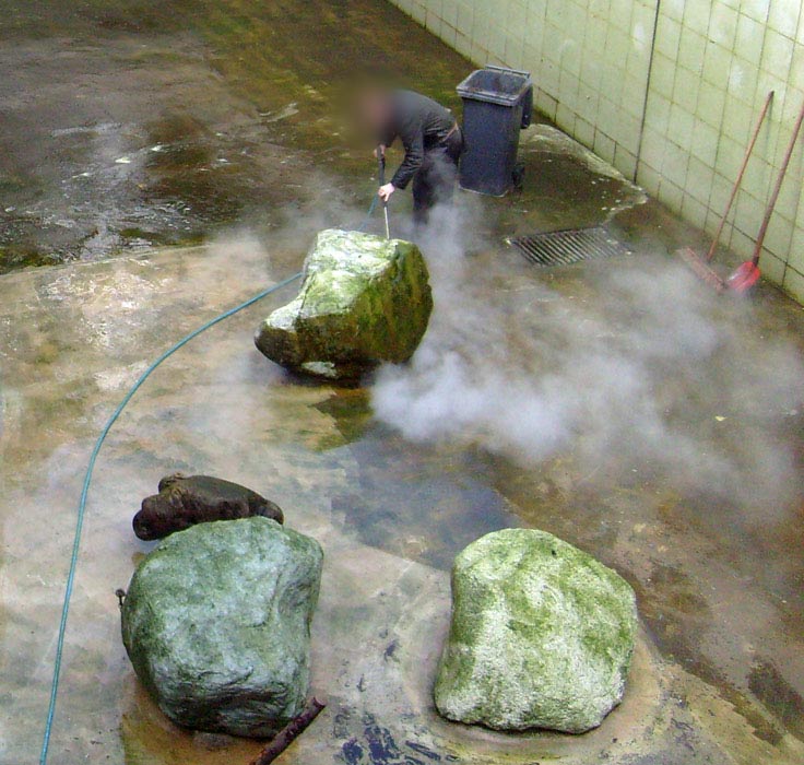 Reinigung der Eisbärenanlage im Zoologischen Garten Wuppertal am 31. März 2010
