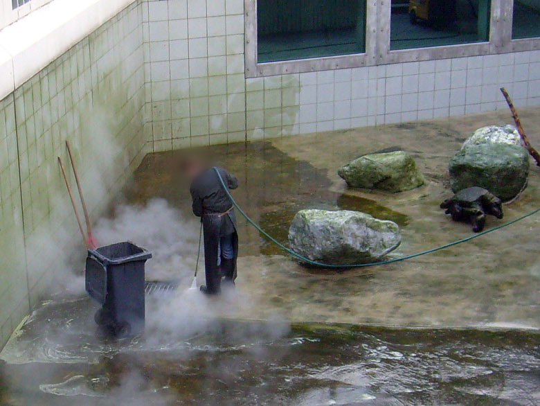 Reinigung der Eisbärenanlage im Zoo Wuppertal am 31. März 2010