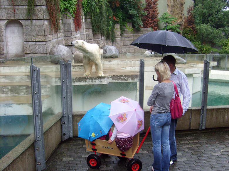 Kids mit Schirm vor Eisbär Lars im Zoo Wuppertal am 8. August 2010