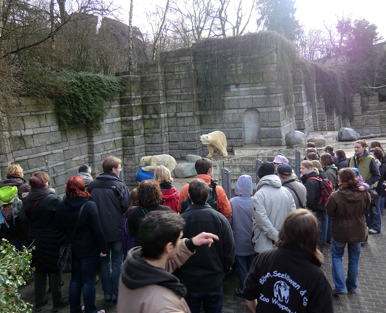 Besucher/innen am Eisbärengehege im Zoo Wuppertal am 13. Februar 2011