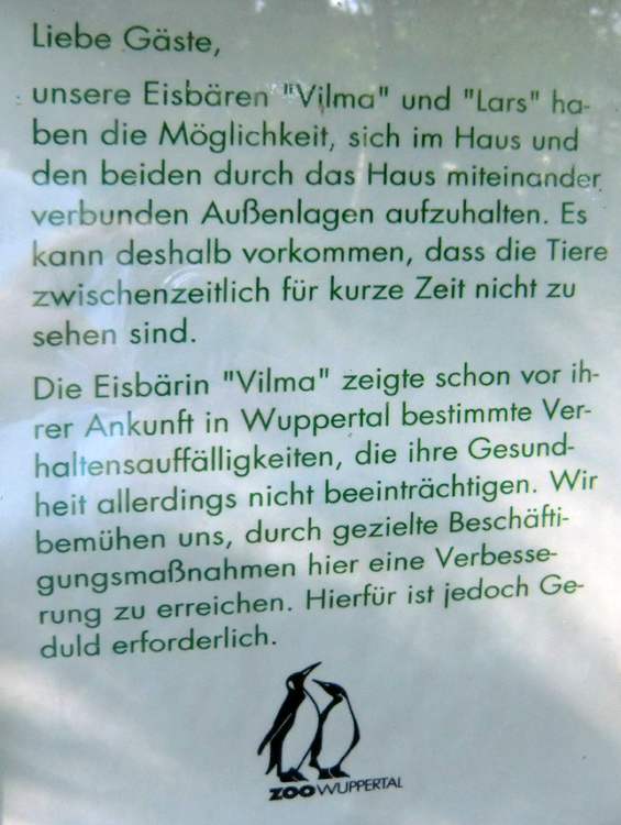 Information zu Eisbär Lars und Eisbärin Vilma am 22. April 2011 im Zoo Wuppertal