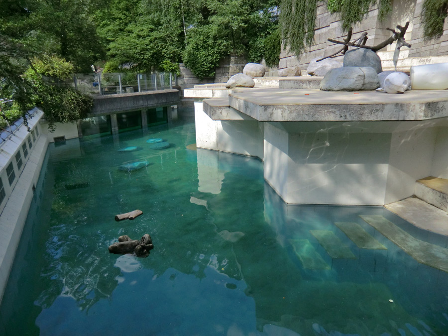 Die große Freianlage für Eisbären am 5. Juni 2012 im Zoo Wuppertal